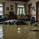 crocodile swims in flood