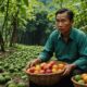 guangxi import fruit destination