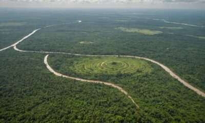 nasa reveals deforestation impact