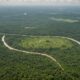 nasa reveals deforestation impact