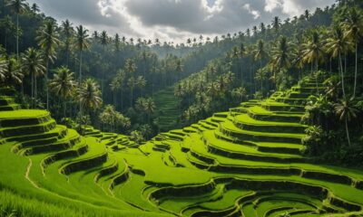 popular tourist attractions bali