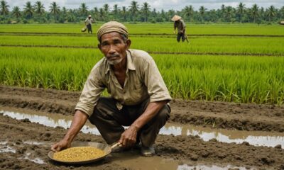 farmer discovers gold treasure