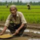 farmer discovers gold treasure